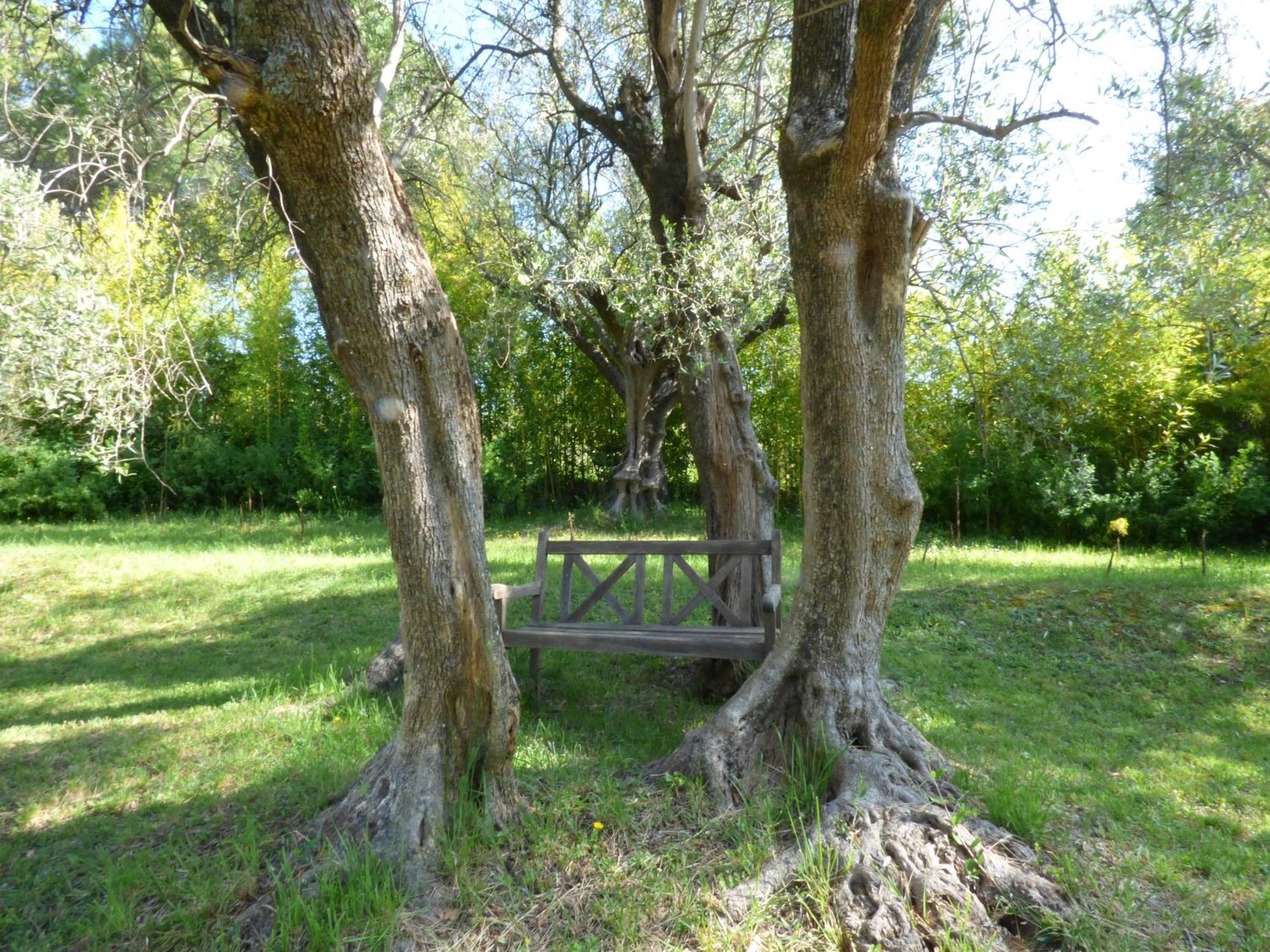 Apartment Cezanne With Heated Pool And Private Garden Chateauneuf-Grasse Bagian luar foto