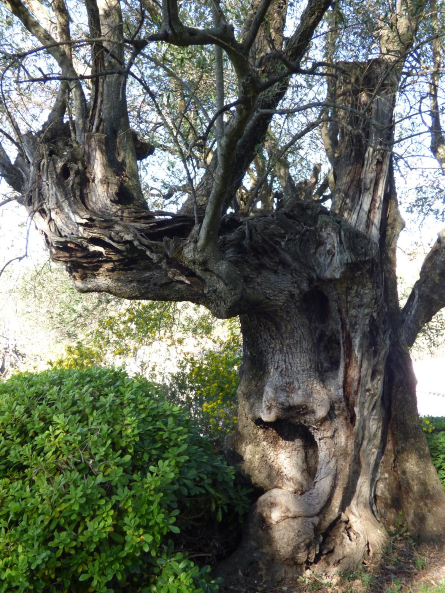 Apartment Cezanne With Heated Pool And Private Garden Chateauneuf-Grasse Bagian luar foto