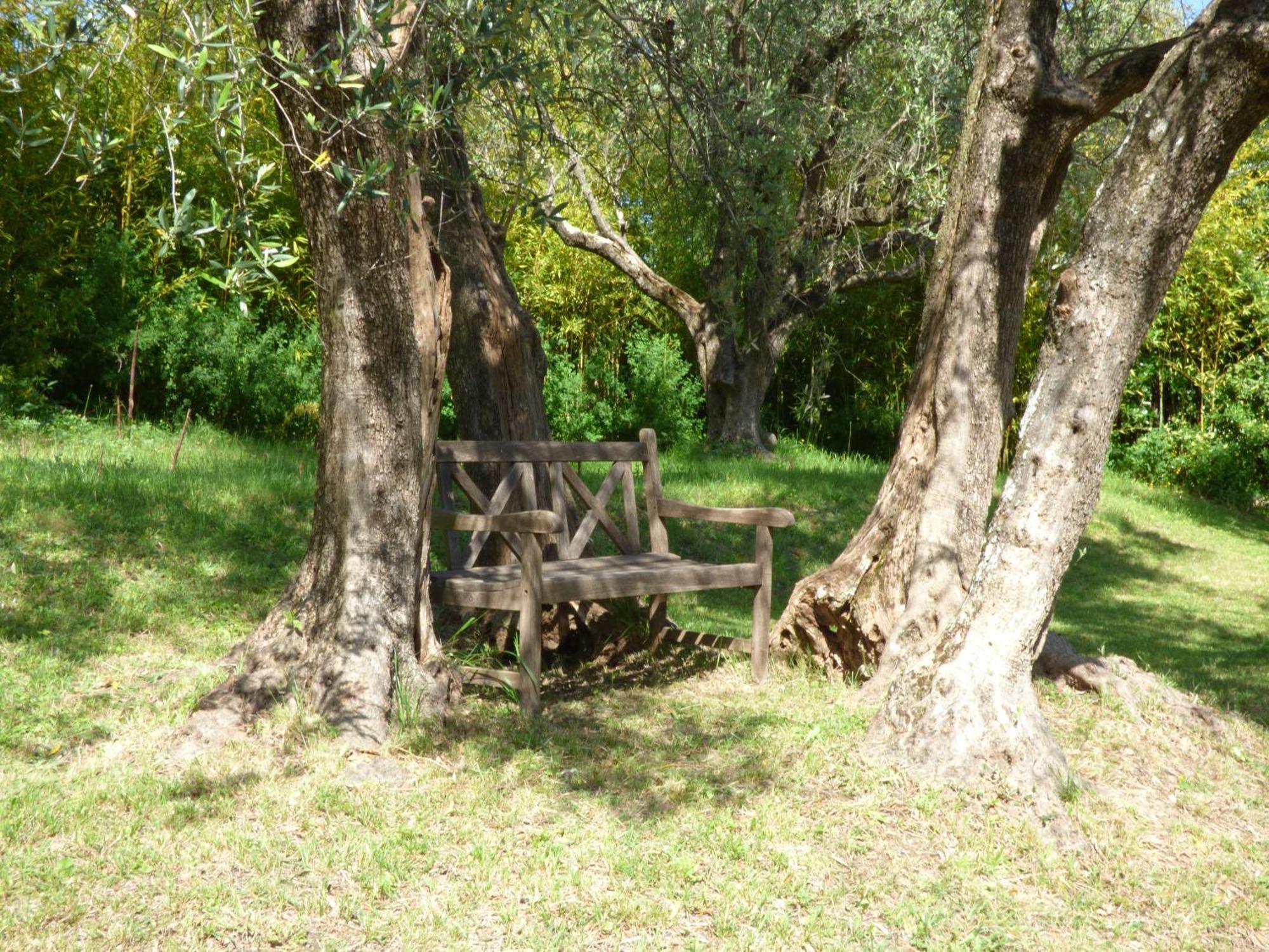 Apartment Cezanne With Heated Pool And Private Garden Chateauneuf-Grasse Bagian luar foto